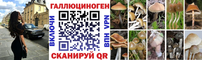 даркнет сайт Барабинск Галлюциногенные грибы GOLDEN TEACHER